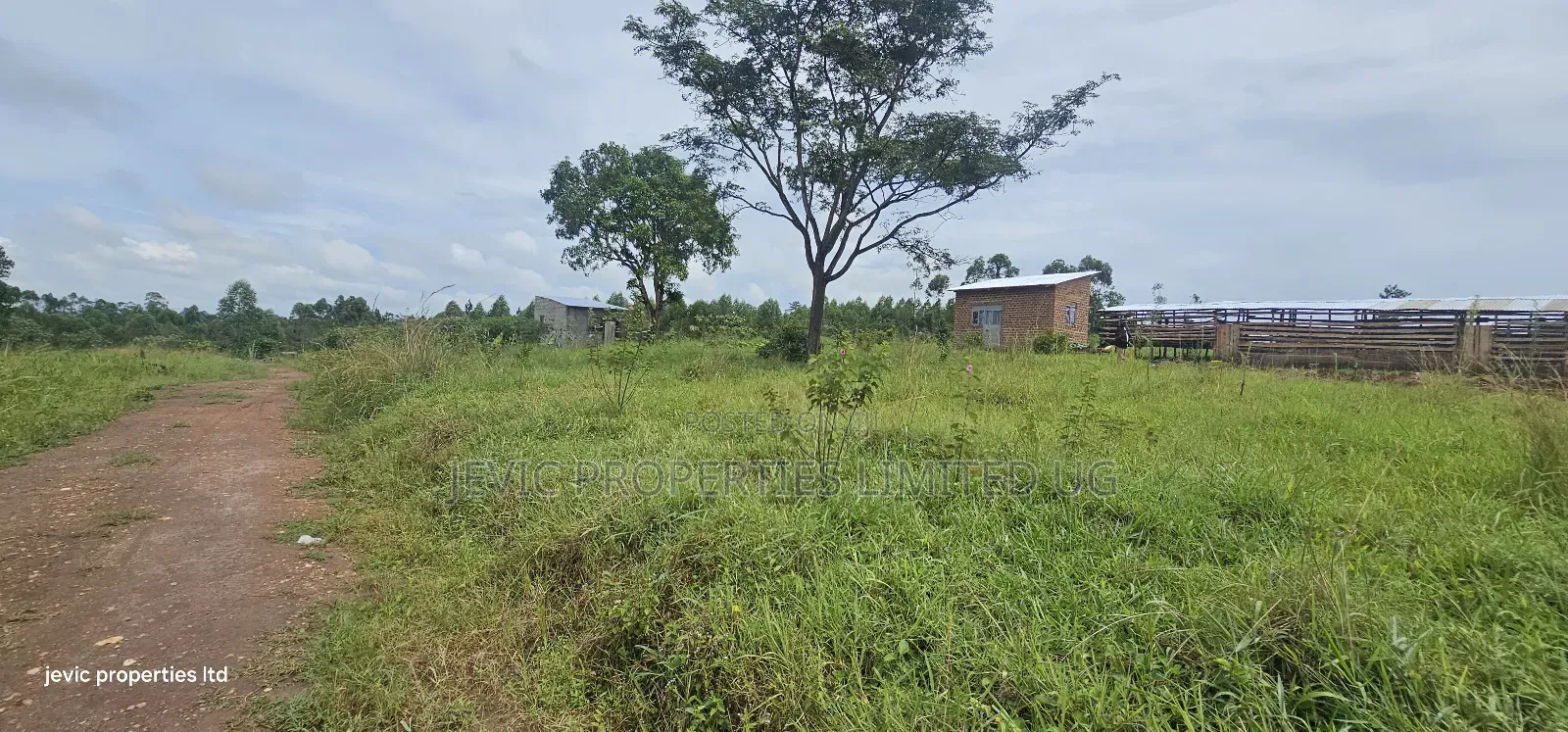 Wakiso - Namayumba Plots for Sale 100 MTRS Off Tarmac