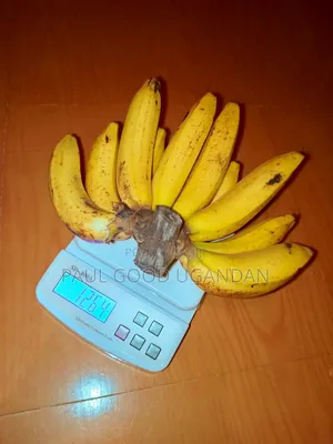Sf-400a2 Digital Scales (5kg)