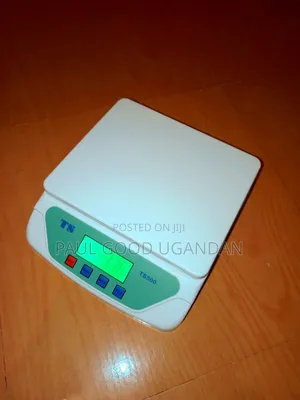 Ts500-2 Digital Scales (30kg)
