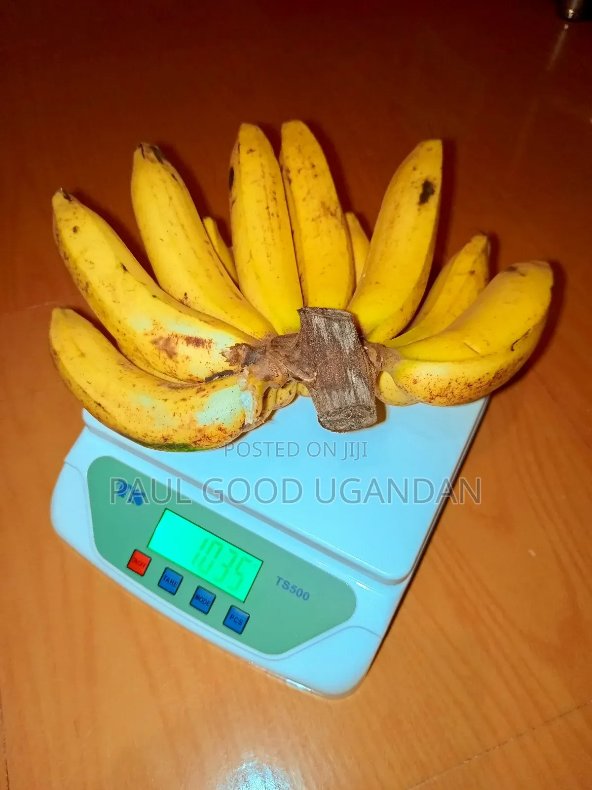 Ts500-2 Digital Scales (30kg)