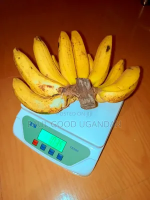 Ts500-2 Digital Scales (30kg)