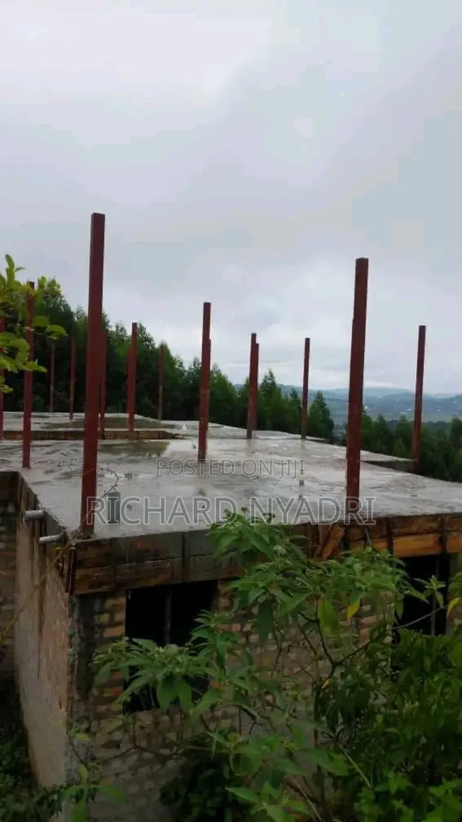 Construction in Steel and Wood