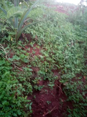 Photo - Vegetable Soil / Black Manure Soil