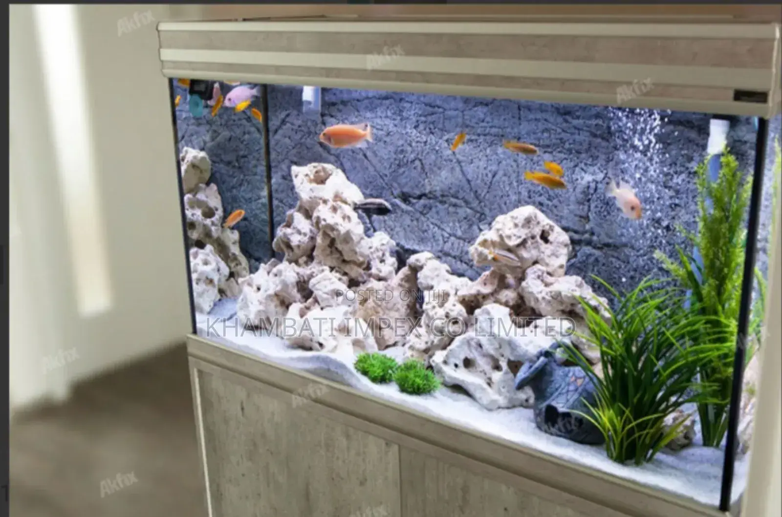 Aquarium Silicon