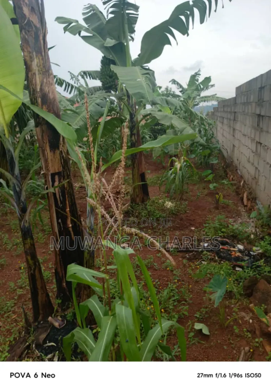 Plot for Sale in Kulambiro