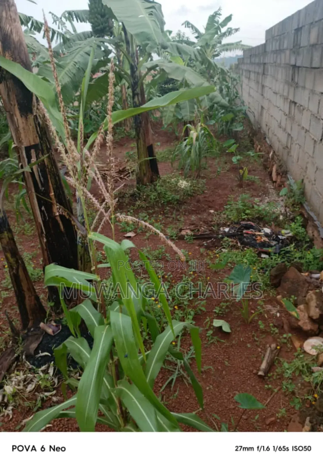 Plot for Sale in Kulambiro