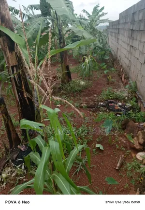 Plot for Sale in Kulambiro