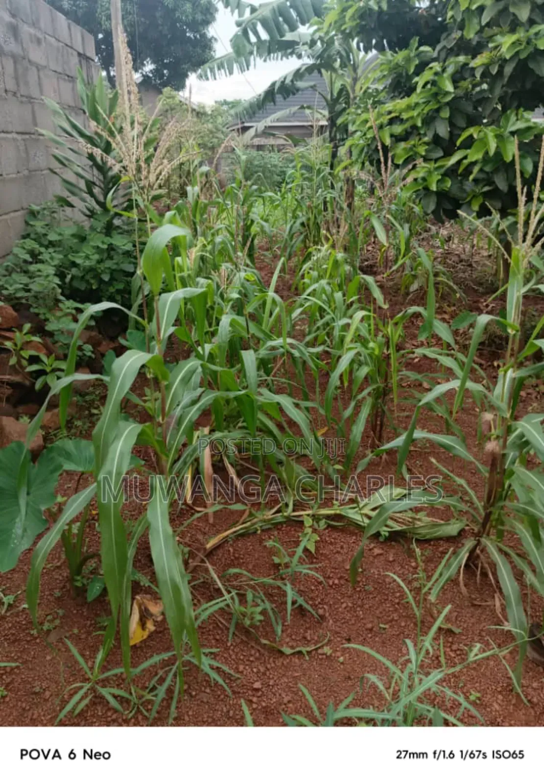 Plot for Sale in Kulambiro