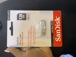San Disk Flash Drive