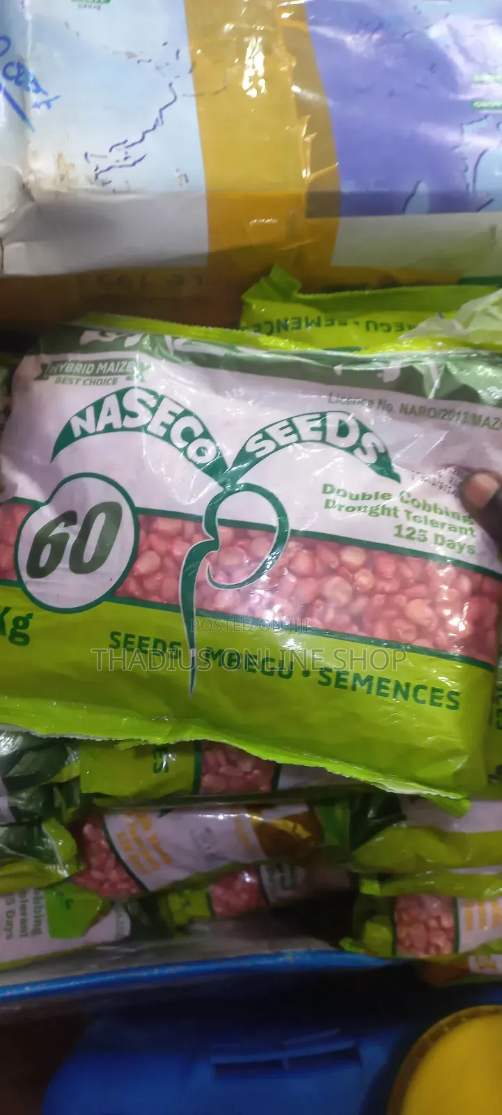 Naseco Hybrid Maize 125dqys to Mature