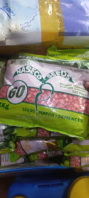 Naseco Hybrid Maize 125dqys to Mature
