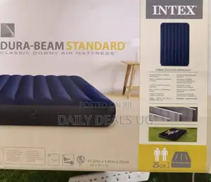 Photo - Intex Portable Air Mattress