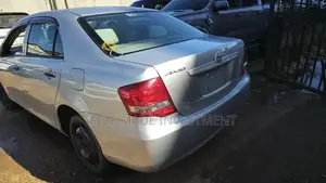 Toyota Axio 2011 Silver