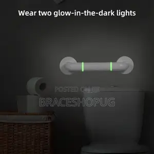 Bathroom Safety Grab Bars