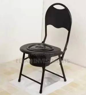 Multipurpose Folding Handcap Toilet Seat