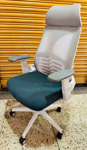 Office Chair (WL01)