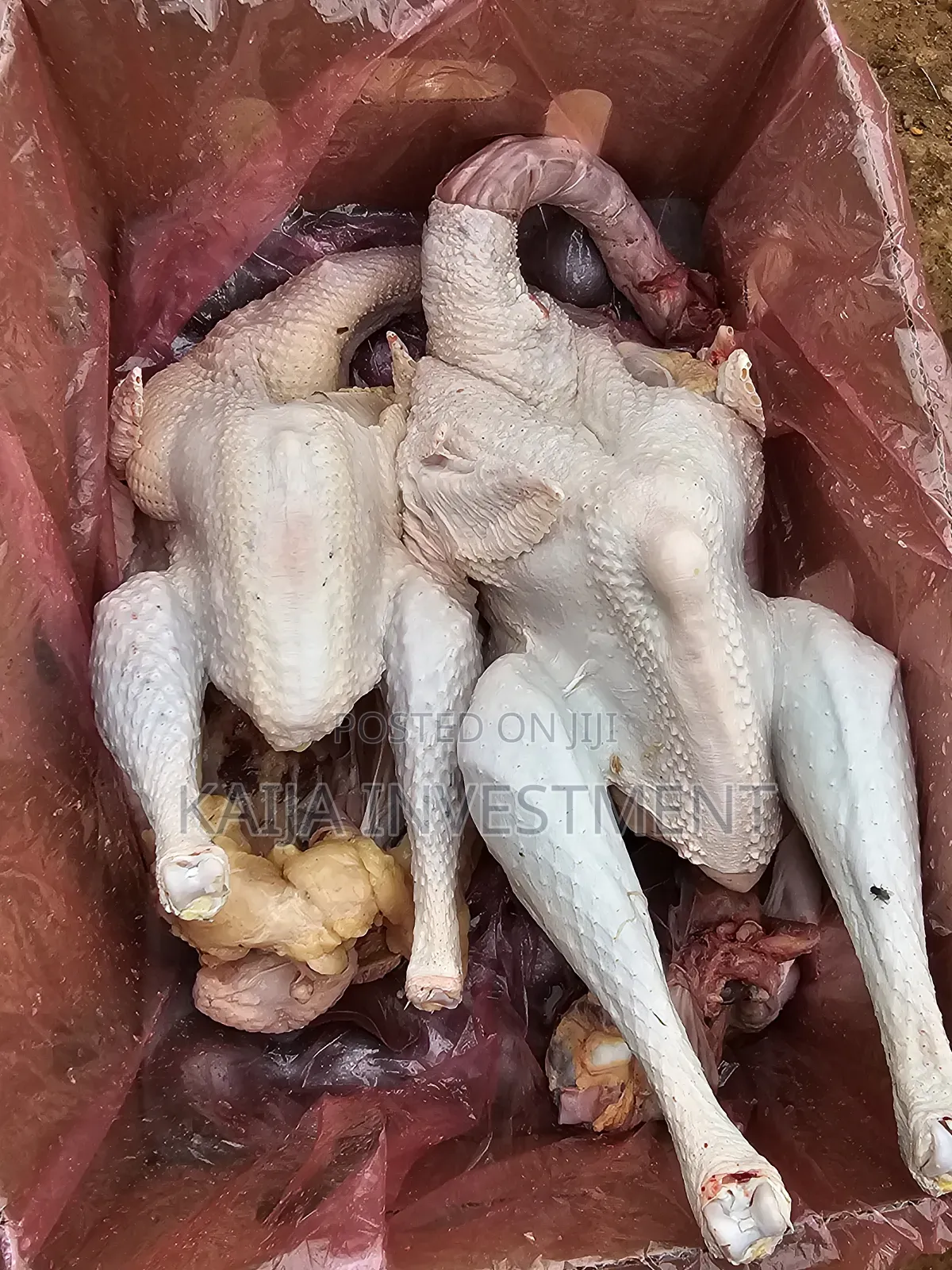 Turkey Box