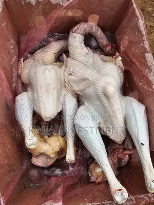 Turkey Box