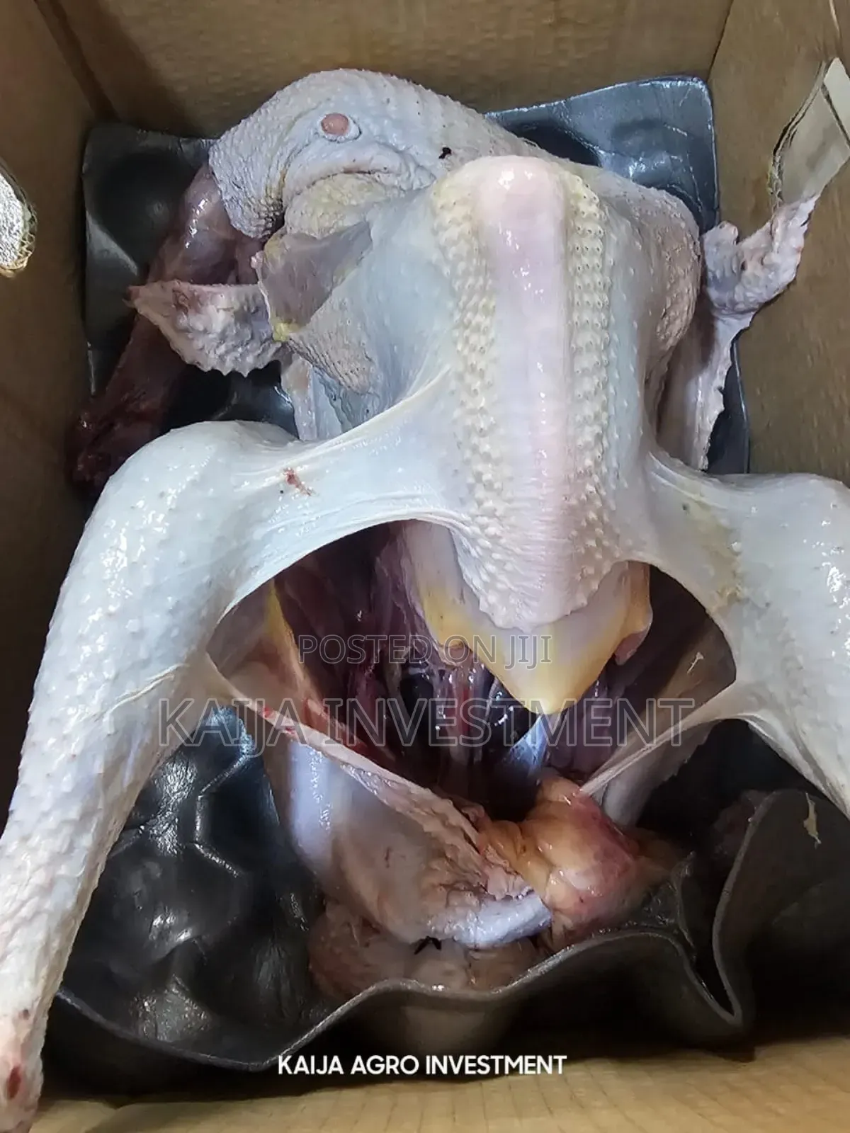 Turkey Box