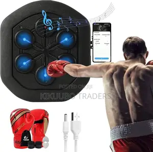 Wall Mounted Smart Boxing Machine