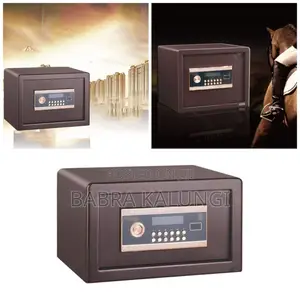 D25 Security Safe Box, Safe With Password Lock,