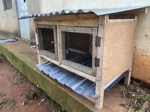 Rabbit/ Pet Cage