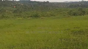 Plots for Sale at Kavule Mpigi