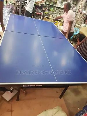 Tennis Table