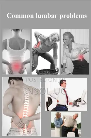 Back Brace for Back Pain