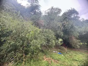 Prime Residential Plot in Nalyako, Naalya.(2.89 Acres)