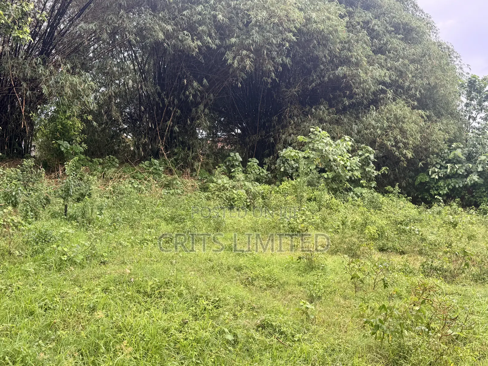 Prime Residential Plot in Nalyako, Naalya.(2.89 Acres)