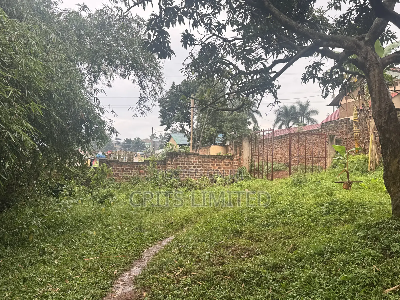 Prime Residential Plot in Nalyako, Naalya.(2.89 Acres)