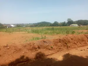 Mile Land For Sale