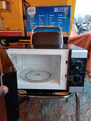 Microwave Japan Used 20L