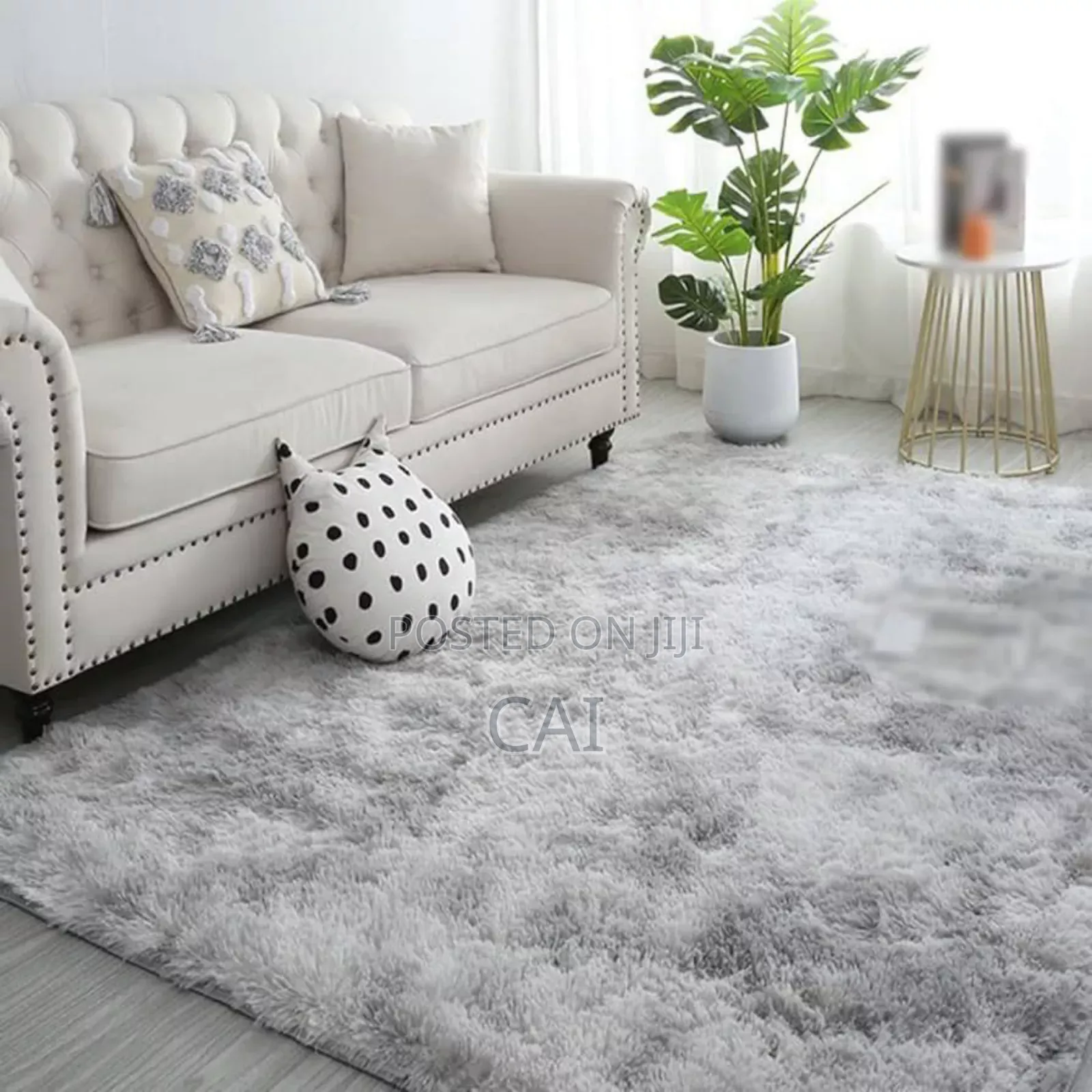 Praise Fluffy Carpet