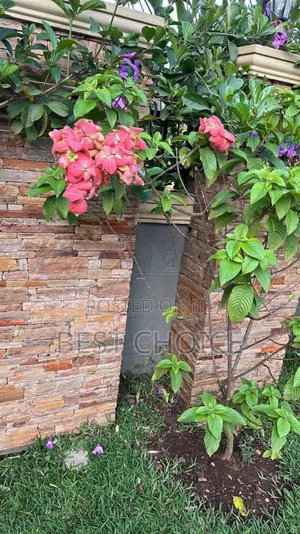 Blossoming Beauty,Best Flowers, Plants, Compound Designing
