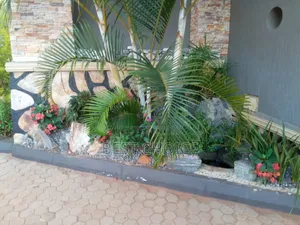 Blossoming Beauty,Best Flowers, Plants, Compound Designing