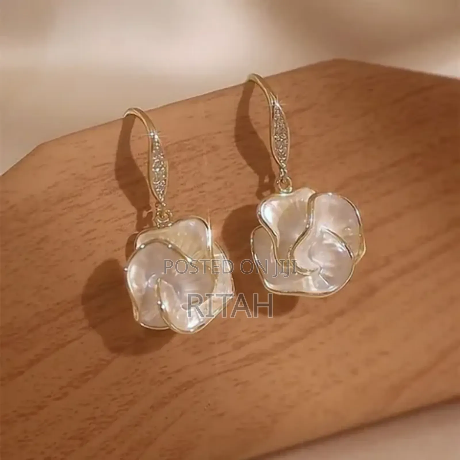 Ladies' Classy Earrings