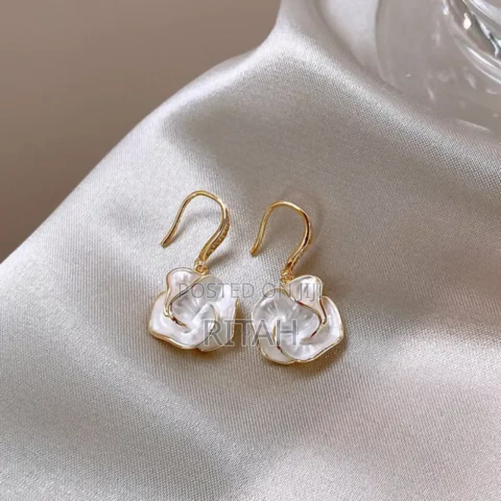 Ladies' Classy Earrings