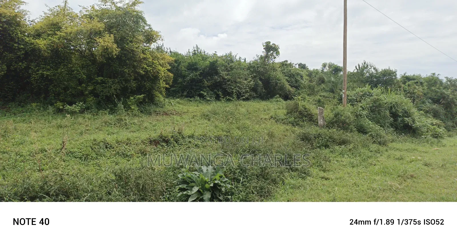 Land for Sale in Matuga