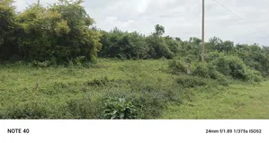 Land for Sale in Matuga