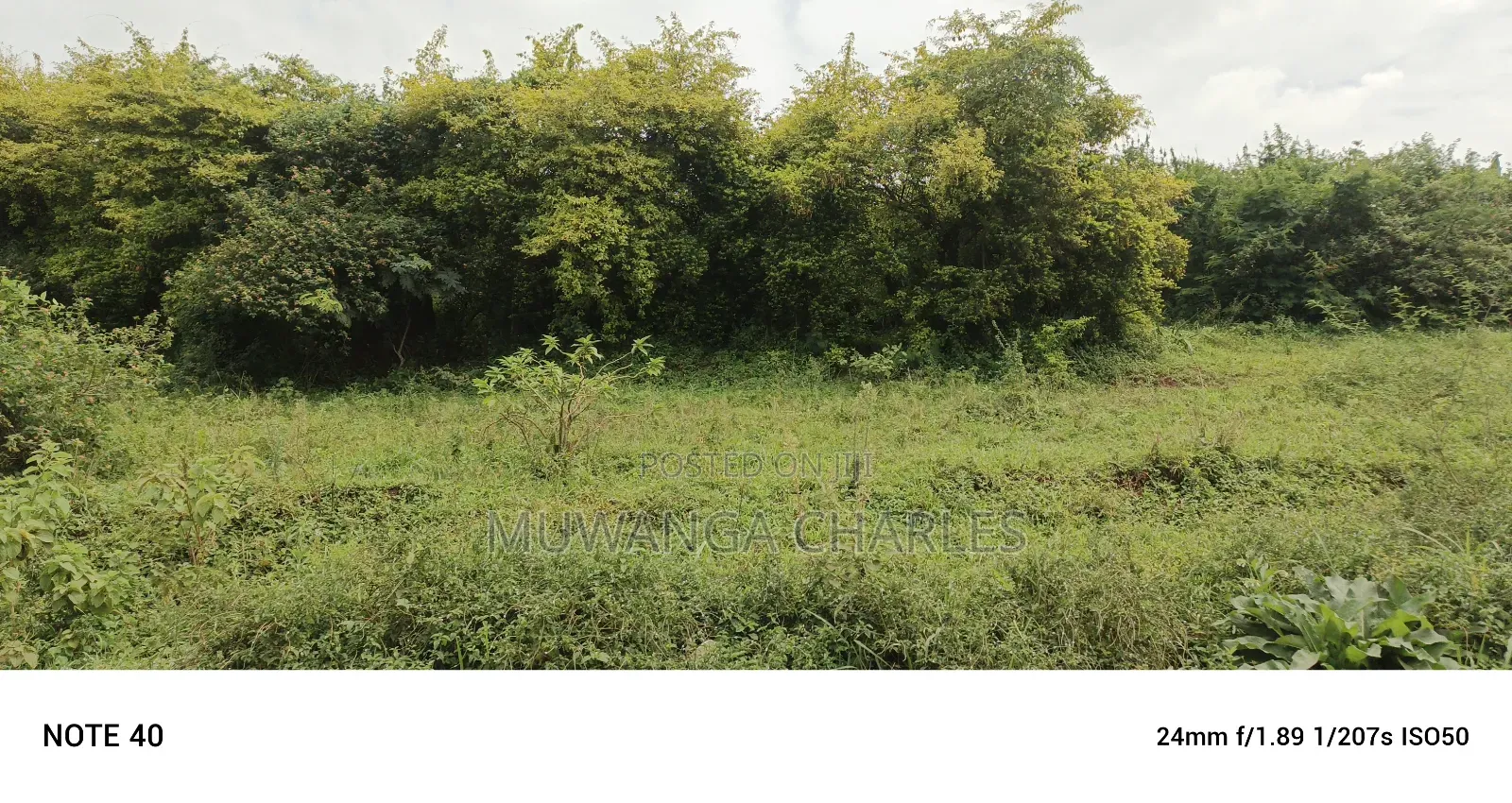 Land for Sale in Matuga