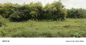Land for Sale in Matuga