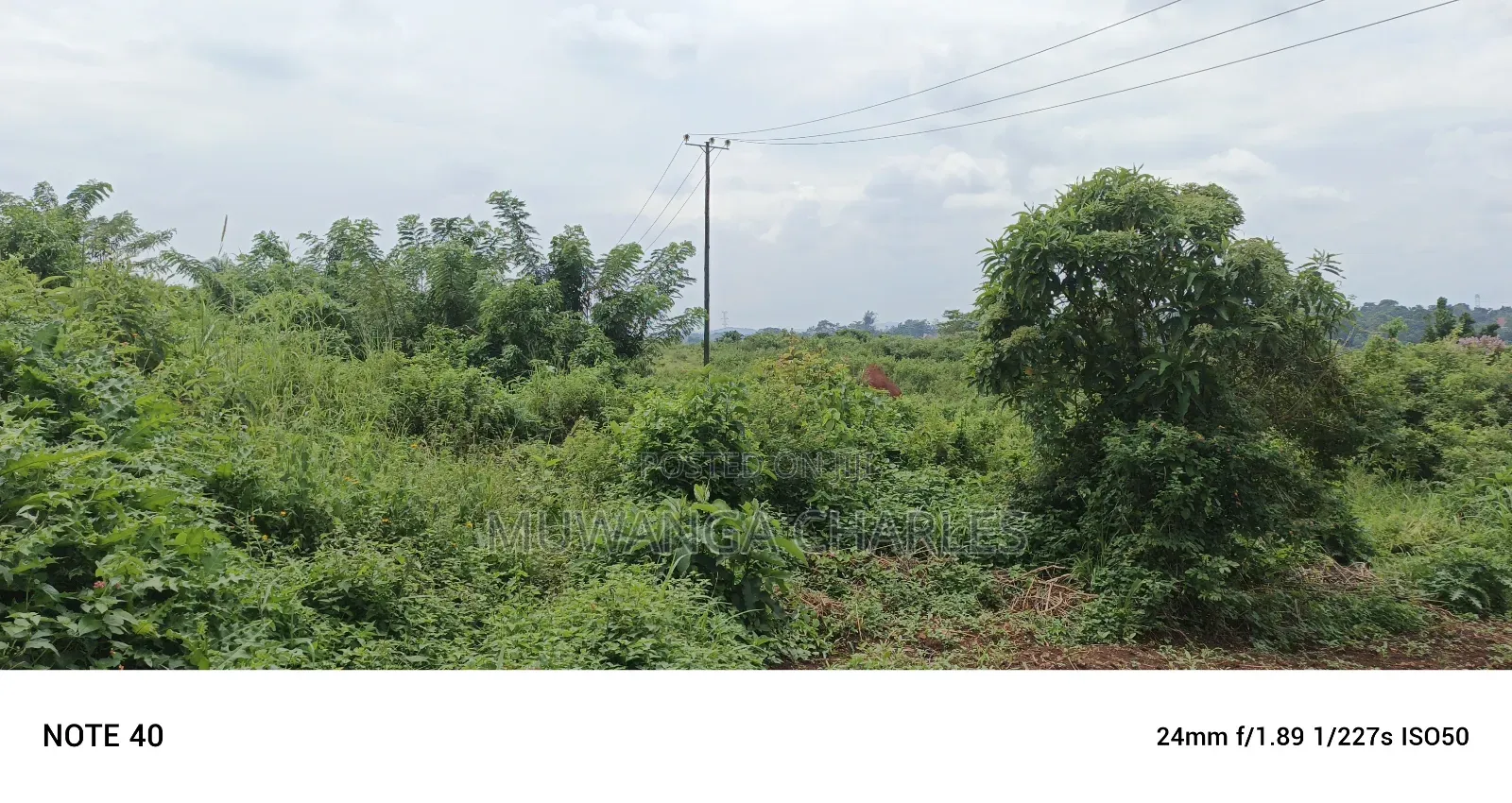Land for Sale in Matuga