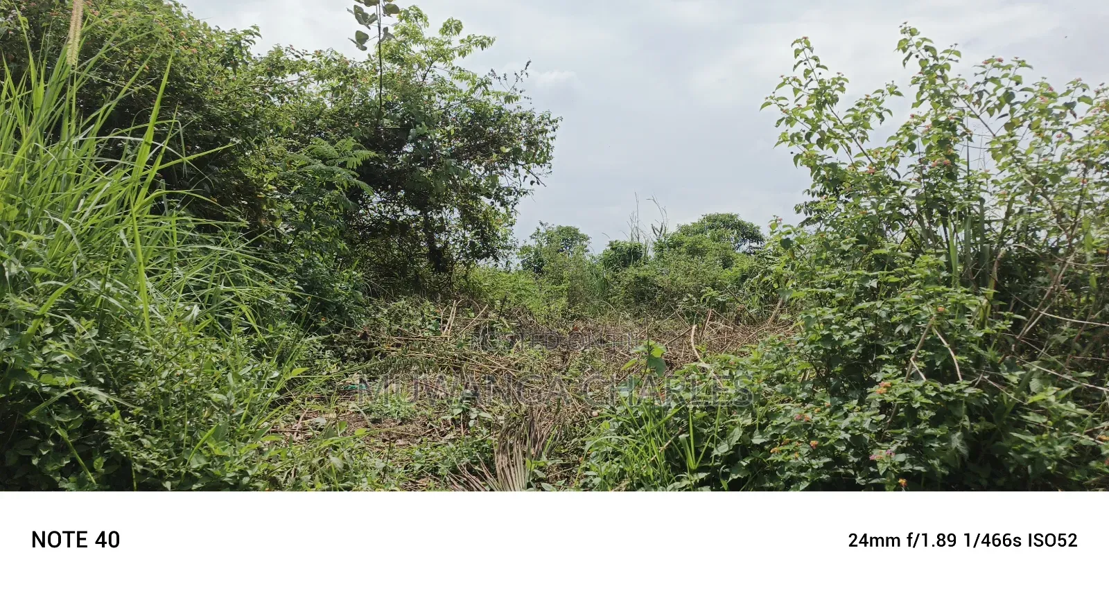 Land for Sale in Matuga