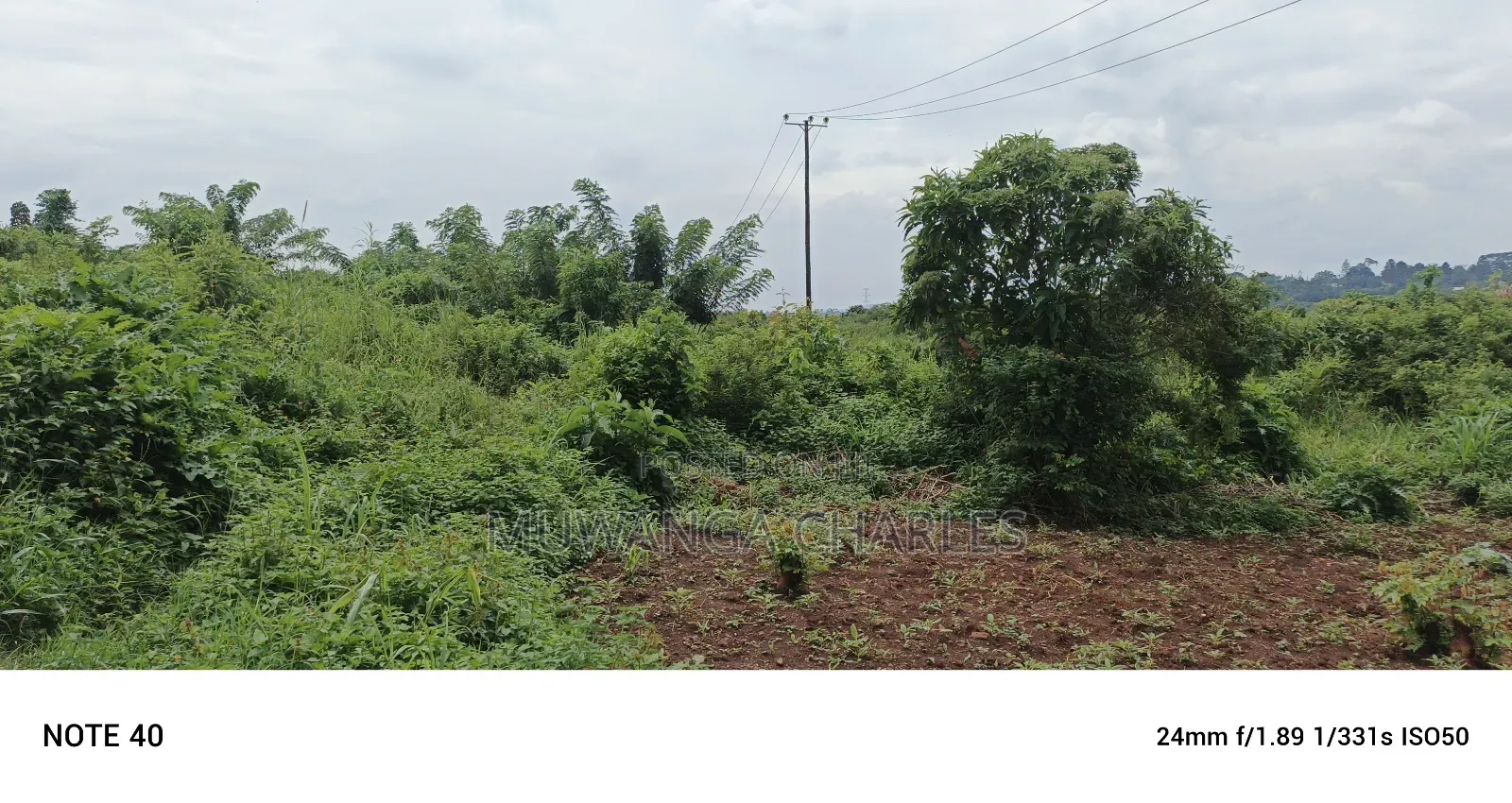 Land for Sale in Matuga