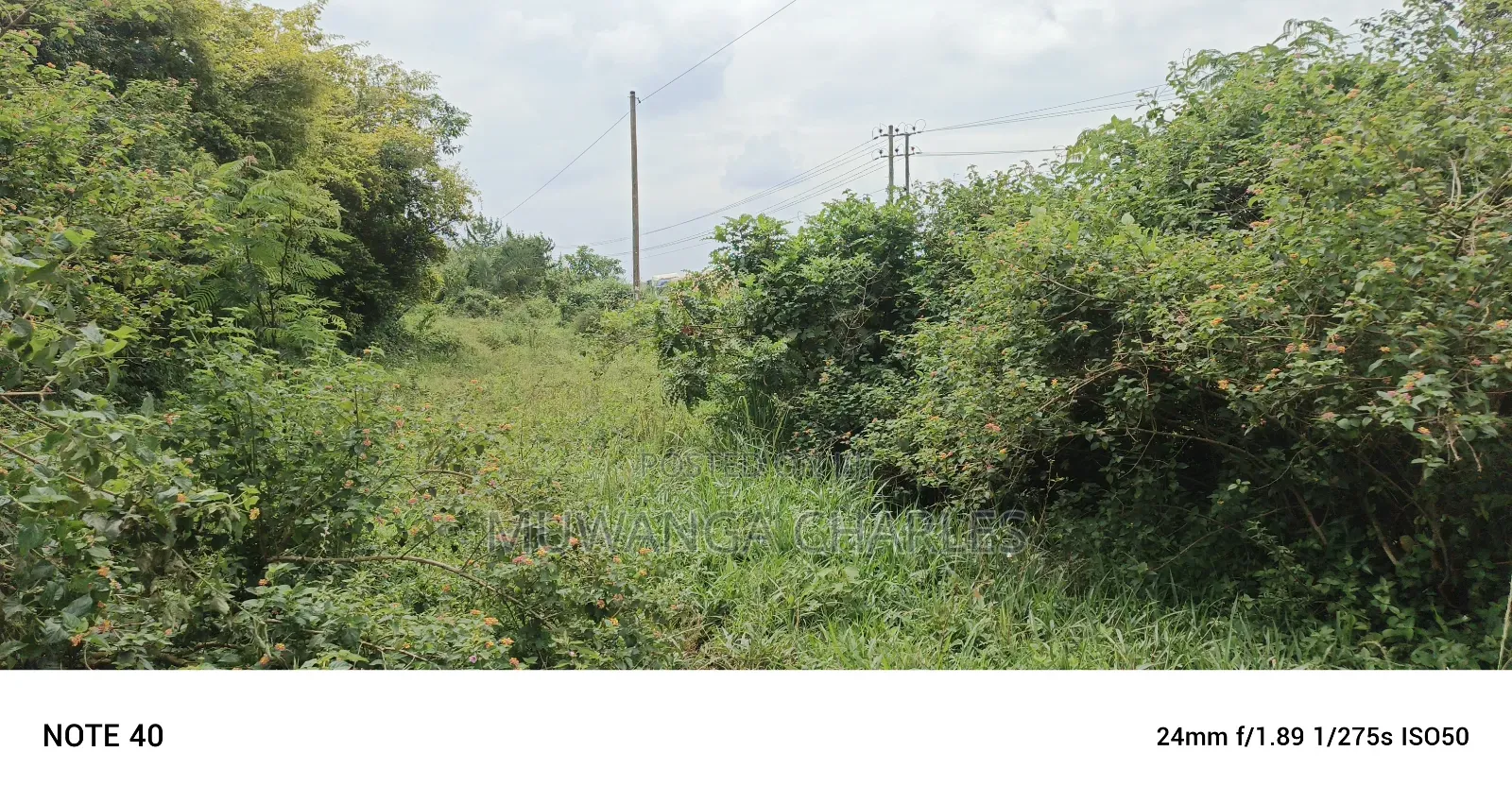 Land for Sale in Matuga