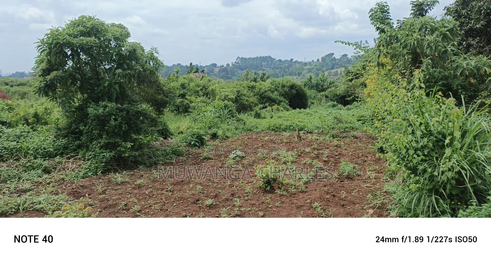 Land for Sale in Matuga