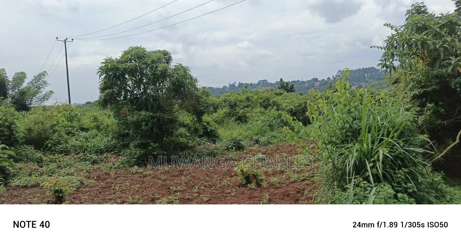 Land for Sale in Matuga
