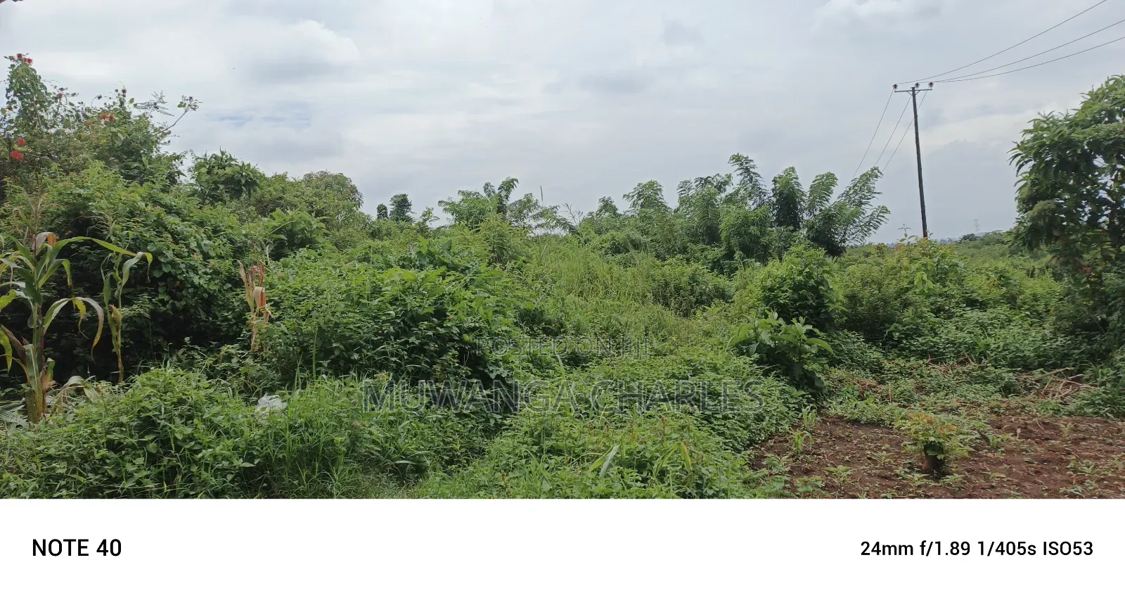 Land for Sale in Matuga